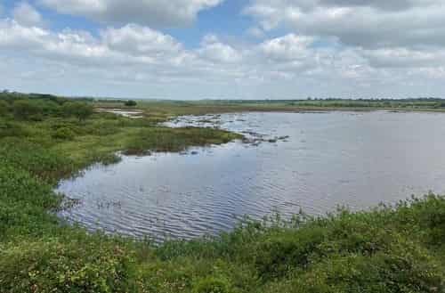 Hesaraghatta Lake